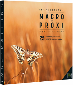 foto principal