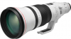 CANON 600mm EF f/4 L IS III USM Photo CANON3329C005