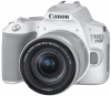 CANON Eos 250D + 18-55 IS STM Branco Photo CANON3458C001