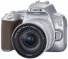 CANON Eos 250D + 18-55 IS STM Prata Photo CANON3461C001