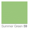 COLORAMA Fundo de Estúdio 1.35 x 11m Summer Green Photo COLORAMA059