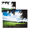 COKIN Filtro (A121L) Graduado Cinza Neutro Light ND2 Photo FICOA121L