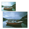 COKIN Filtro (A121S) Graduado Cinza Neutro Soft ND8 Photo FICOA121S