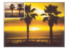 COKIN Filtro (P001) Amarelo Photo FICOP001