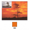 COKIN Filtro (P002) Laranja Photo FICOP002