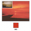 COKIN Filtro (P003) Vermelho Photo FICOP003