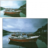 COKIN Filtro (P121S) Graduado Cinza Neutro Soft ND8 Photo FICOP121S