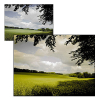 COKIN Filtro (P125L) TabacoT2 Light Photo FICOP125L