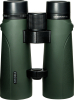 Photo FOCUS3001953178