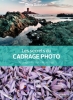 EYROLLES Les Secrets du Cadrage Photo Photo G14395