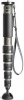 GITZO GM4562 Monopé Série 4 6 Secções Carbono Photo GITZOGM4562