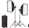 GODOX Kit 2 Tochas LED SL100D + Mala +Pés Photo GODOXD215361