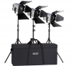 HEDLER Triplo Kit Led 1000 (3X Profilux Led 1000) Photo HEDLERHED5601