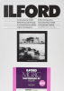 ILFORD Papel Multigrade V RC 17.8x24cm 500 Folhas 1M Brilhante Photo ILFORD1179903