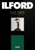 ILFORD Papel Galeria Prestige 260g 10.2x15.2cm 100F Brilhante Photo ILFORD2004024