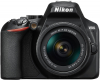 NIKON D3500 + 18-55mm AF-P DX VR Photo NIKONVBA550K001